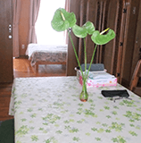 テーブル上の植物