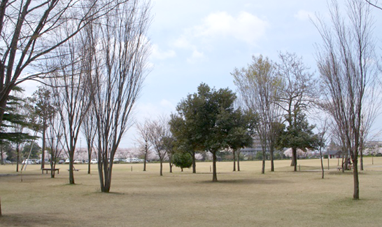 散歩した公園