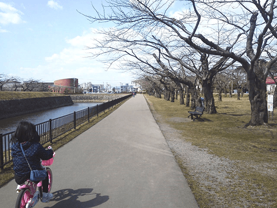 公園のウォーキングコース