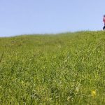 ウォーキングで健康に！