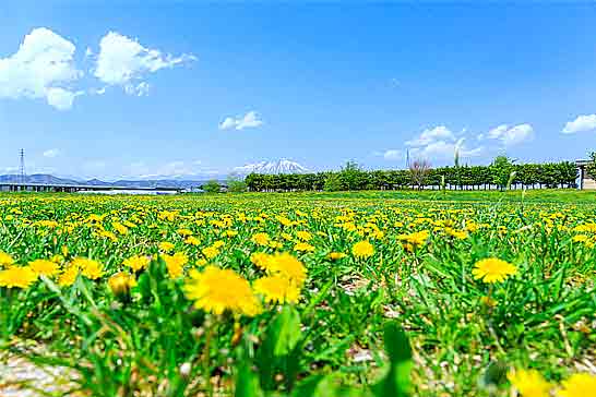 訪問介護04